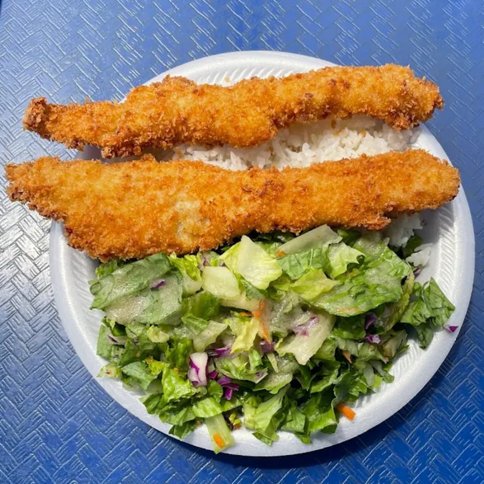 Two crispy fried fish fillets on white rice with a side salad, served on a white plate.